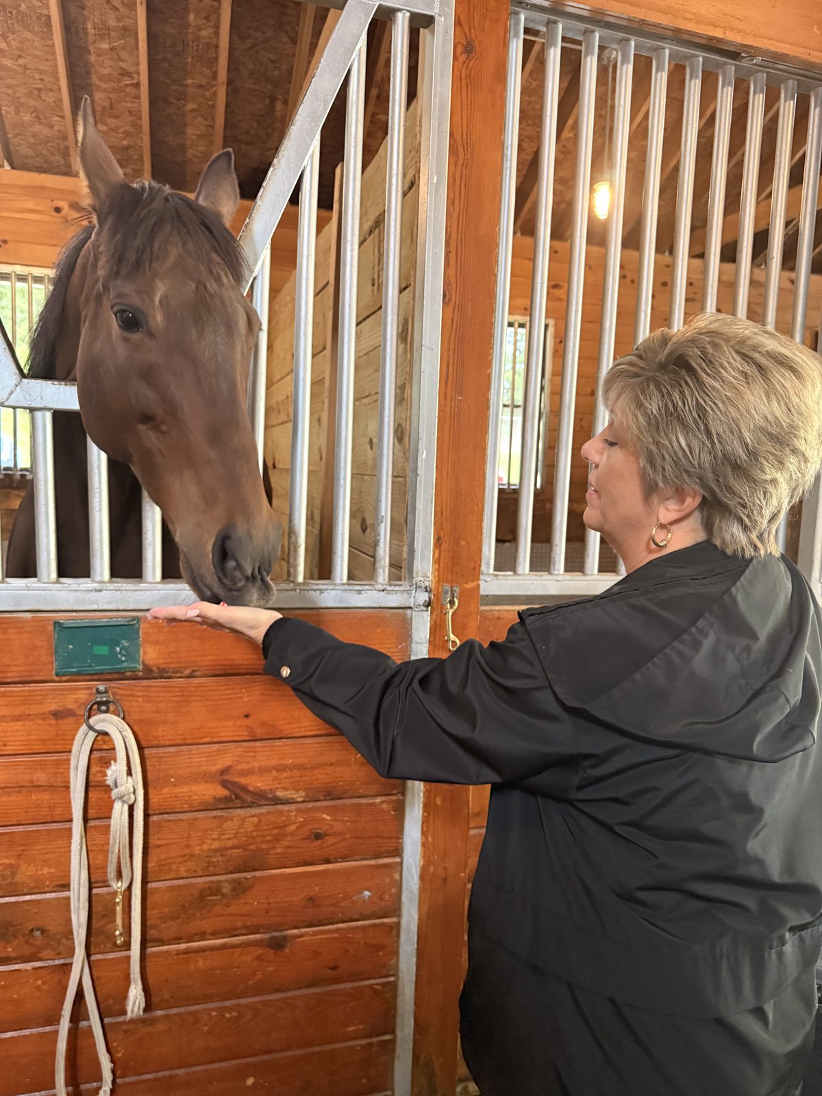 Hands-on care at the barn